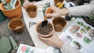 Cách trộn đất trồng hoa ban công