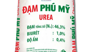 Top 10 địa chỉ cung cấp phân bón cho cây cảnh uy tín nhất hiện nay