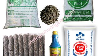 Top 5 loại phân bón hữu cơ và vô cơ tốt nhất cho cây cảnh hiện nay