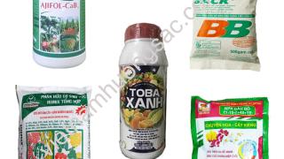 Top 5 loại phân hữu cơ tốt cho cây đào